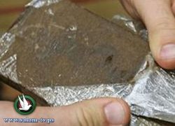 حبس فلسطينيين ضبط بحوزتهم 45 فرش حشيش و400 قرص ترامادول في العريش