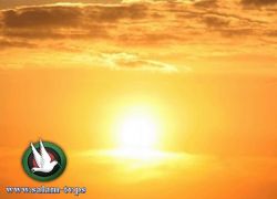درجة الحرارة أعلى من معدلها بـ 9 درجات مئوية