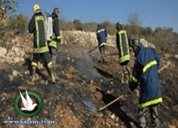 حريق هائل يلتهم أشجار أحراش قفين شمال طولكرم