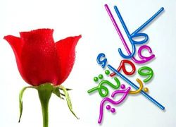 كل عام وانتم بالف خير