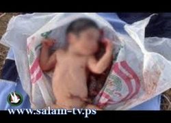 أريحا: العثور على جثة رضيعة حديثة الولادة في حاوية نفايات