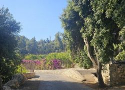 الطقس: أجواء صافية ولا تغير على درجات الحرارة