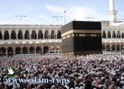 وصول الدفعة الأولى من حجاج بيت الله الحرام إلى أرض الوطن