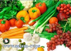 زراعة طولكرم تنفذ محاضرة حول "العادات الغذائية السيئة وكيفية تجنبها"