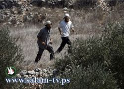 رغم التنسيق: مستوطن حاول طعن فلسطيني جنوب نابلس