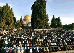 صدقة الفطر 8 شواقل وصلاة العيد الساعة 5:55 دقيقة صباحا