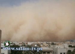«طوارئ» لمواجهة غبار الرياض.. وتأهب للأمطار في جدة