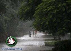 99 هزة ضربت كاليفورنيا خلال يوم واحد والاعصار "اسحق" يتجه نحو فلوريدا