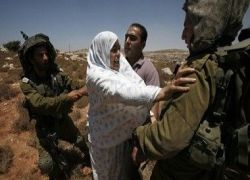 الاحتلال يعتقل مواطنة من خربة جبارة في طولكرم