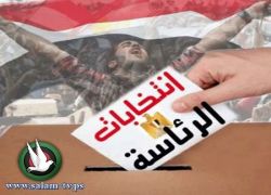 أرقام في الانتخابات المصرية