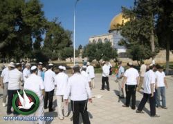 مستوطنون يتقدمهم وزير إسرائيلي يتجولون في باحات المسجد الأقصى