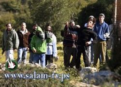 مستوطنون حاولوا اضرام النار في مسجد بروقين في سلفيت