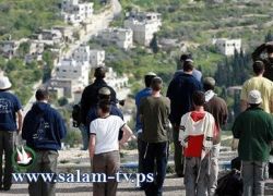 خطة سرية لاخلاء بؤر استيطانية خفية عن الجيش