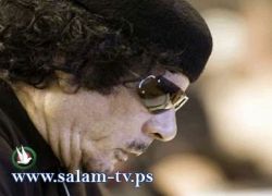 وصية القذافى التى كتبها قبل مقتله بأيام !!