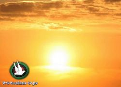 الطقس: الحرارة اعلى من معدلها السنوي العام بحدود 4 درجات