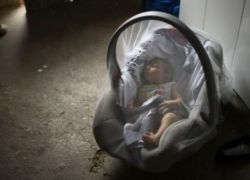 4 حالات مصابة بفيروس زيكا فى إسرائيل