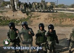 مصر تعتقل اثنين من اعضاء التنظيم الجهادي في سيناء