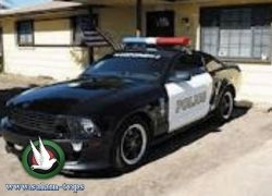 حطم سيارة الشرطة مطالباً.. بسجنه لان لديه شئ يفعله هناك؟؟