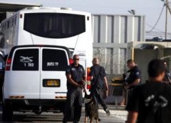 إدارة سجون الاحتلال تقمع 3 أقسام في 'ريمون' وتنكل بالأسرى