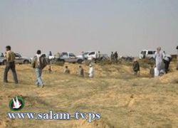 اختطاف سائحتين برازيليتين ومرشد سياحي مصري على ايدى مسلحين جنوب سيناء