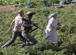 الاحتلال يعتدي على مزارعين في أم الخير جنوب الخليل