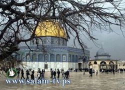 الهند: جميع الإجراءات الإسرائيلية في مدينة القدس باطلة ولاغية