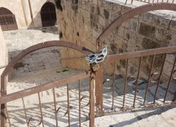 القدس: مستوطنون يقتحمون مقبرة باب الرحمة ويؤدون طقوسا تلمودية