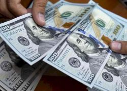 فلسطين تسجل 2,348 مليون دولار استثمار أجنبي مباشر مع نهاية 2024