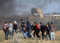 82 مصاباً برصاص الاحتلال على حدود غزة