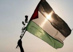 &quot;بتسيلم&quot;: اسرائيل قتلت 290 فلسطينيا عام 2018