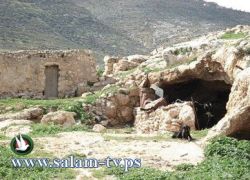 لا وجود لرفات جنود أتراك في مقبرة جنوب نابلس