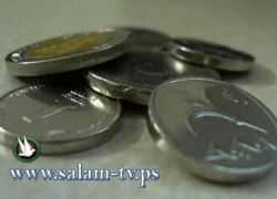 دولار 3.63 -يورو 4.80 - د.اردني 5.13 -ج.مصري 0.62 شيقل