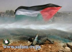 الإدارة الأميركية تبلغ السلطة اعتراضها على التوجه إلى الأمم المتحدة
