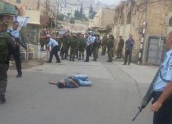 رئيس البرلمان العربي: تصفية الفلسطينيين في الشوارع عمل اجرامي
