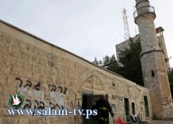 الجيش:تزايد اعتداءات المستوطنين بحق الفلسطينيين خلال العام الماضي