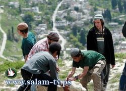الف مستوطن يغلقون طريق جيت ايتسهار ويرشقون سيارات فلسطينية