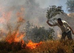 مستوطنون يضرمون النار في اراض زراعية في قريوت جنوب نابلس