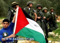 القاهرة: خبراء يناقشون استحقاق قيام الدولة الفلسطينية