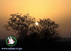 الطقس: درجات الحرارة اعلى من معدلها بحدود 3 درجات مئوية