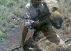 أضخم عقرب في العالم في اليمن - صوره