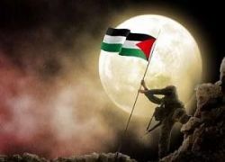 فلسطيني بلا هوية : بقلم الاء شناعة