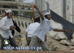 جنين: مستوطنون يقتحمون مستوطنة 'حوميش' المخلاة