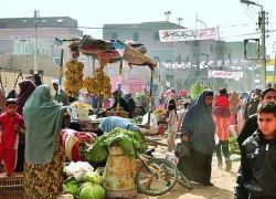 مصر تعلن الحرب على الدولار بعد غلاء الأسعار