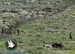 إسرائيل أهملت الحدود مع سوريا منذ عقود