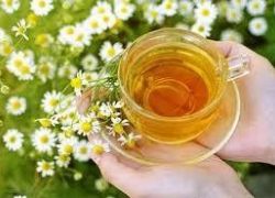 البابونج لعلاج القرح المعدية