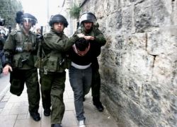 الاحتلال يعتقل طفلة لإجبار شقيقها على تسليم نفسه