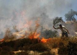 مستوطنون يحرقون حقولاً زراعية في نابلس