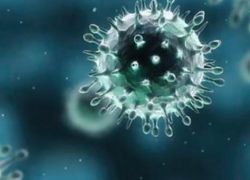 كيف ينتشر فيروس كورونا الجديد؟