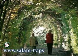 اسرائيليان يمارسان الجنس علناً بحديقة للعائلات بالأردن
