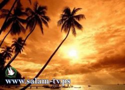 حالة الطقس: جو غائم جزئي حتى المساء